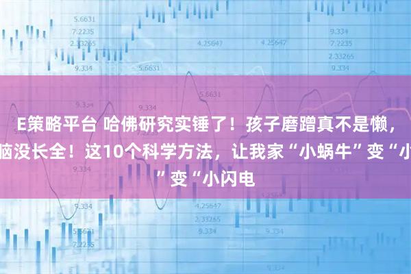 E策略平台 哈佛研究实锤了！孩子磨蹭真不是懒，是大脑没长全！这10个科学方法，让我家“小蜗牛”变“小闪电