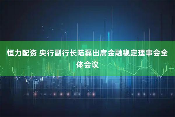 恒力配资 央行副行长陆磊出席金融稳定理事会全体会议