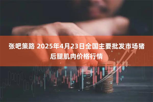 张吧策路 2025年4月23日全国主要批发市场猪后腿肌肉价格行情