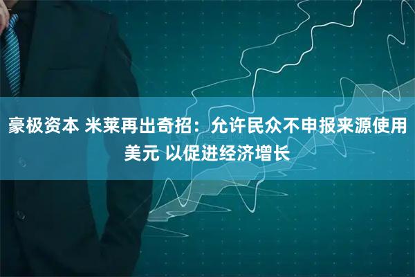 豪极资本 米莱再出奇招：允许民众不申报来源使用美元 以促进经济增长