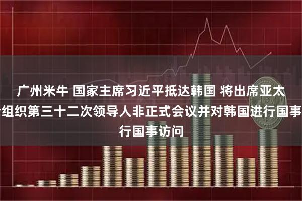 广州米牛 国家主席习近平抵达韩国 将出席亚太经合组织第三十二次领导人非正式会议并对韩国进行国事访问