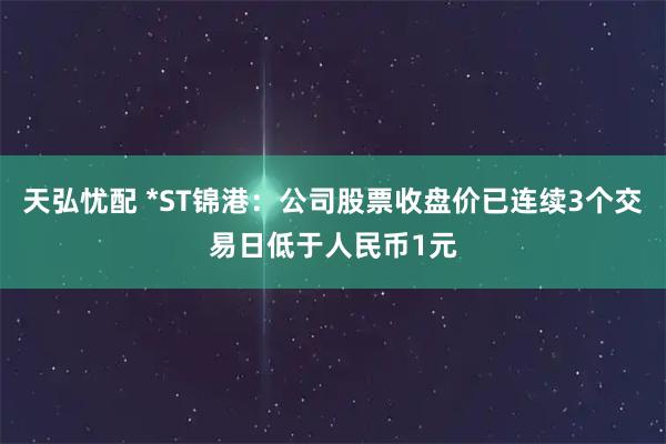天弘忧配 *ST锦港：公司股票收盘价已连续3个交易日低于人民币1元